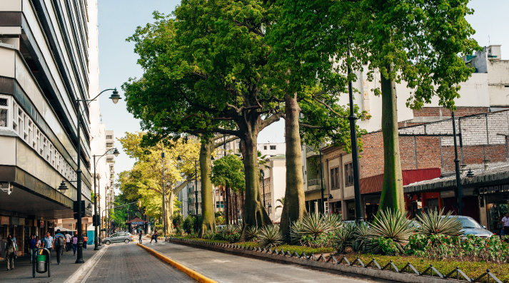 Inmobiliario Activos